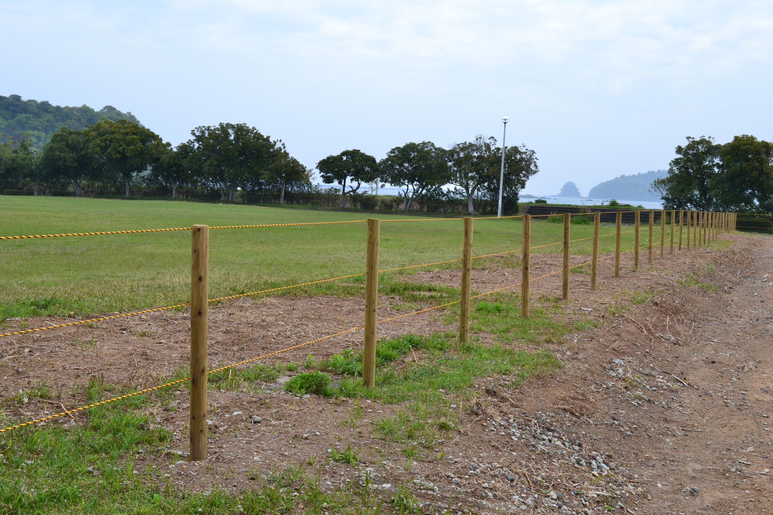 ロープ柵用穴付丸太杭(白木)