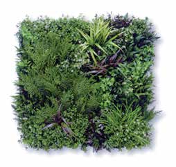 ビスタフォリア® 1枚パック