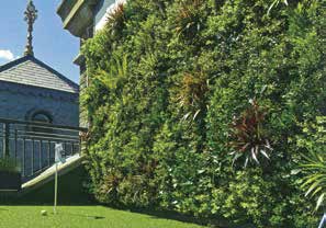 壁面緑化(ビスタフォリア)