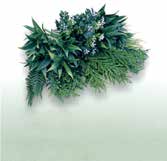 ビスタフォリア®カラーボックス - 画像 (2)