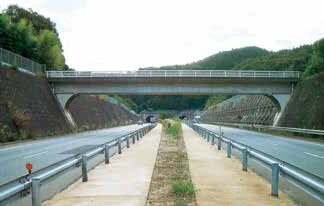 ガンコマサ　地域別単価　25KG入