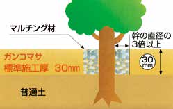 ガンコマサ 地域別単価 25KG入 - 画像 (2)
