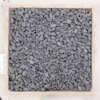 ブラックチップ