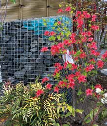 ガビオーネ (籠)