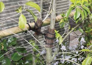 棕梠縄・麻縄・ポリ縄