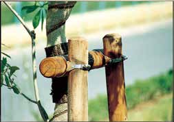 杭・支柱用具(キャップ・クランプ)