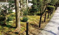 パーム三子ロープ - 画像 (2)