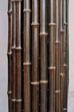 黒竹 輸入品・中国製