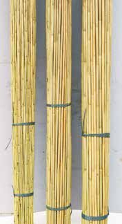 女竹 輸入品・中国製