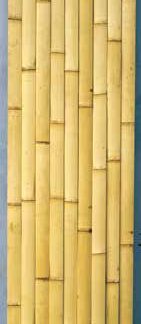 晒建仁寺竹 一等品