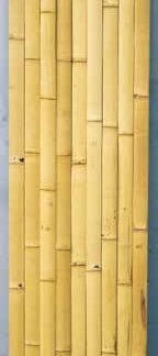 晒建仁寺竹 二等品