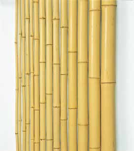 晒竹（防虫）国内生産品