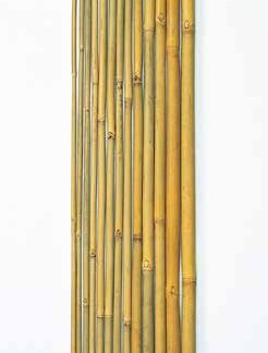 女竹（防虫）国内生産品