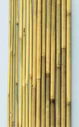 矢竹（防虫）国内生産品