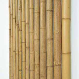 天然錆竹［胡麻竹］国内生産品