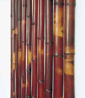 本煤竹　国内生産品