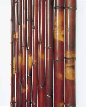 本煤竹 国内生産品