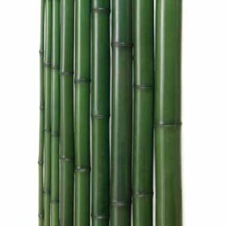 染青竹（防虫）国内生産品