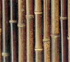 銘竹貼　黒竹半割貼（太口）（防虫）