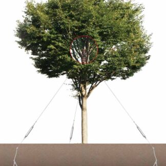 ワイヤーサポート