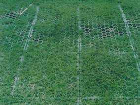 グラスフィット 芝保護・育成ラバーマット