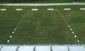 ローンベース - 画像 (5)