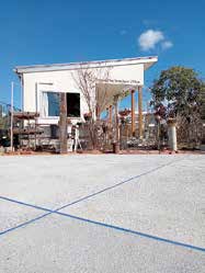 フジスーパーメジ 5色展開