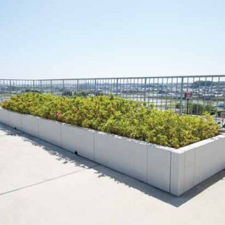 TCLパネル　パパット