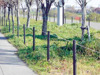 万能杭(人工・樹脂製)