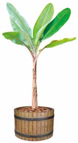 FRP製　樽風プランター　ブラウン