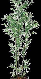 人工竹 バンブーツリー