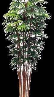 人工竹 シュロ竹7本立