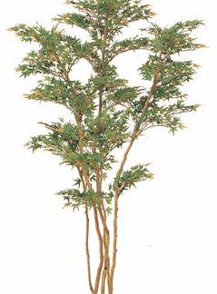 人工樹木 モミジ株立