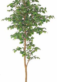 人工樹木 ツバキ