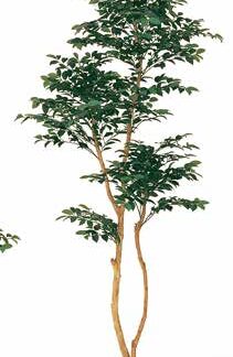 人工樹木 サザンカ