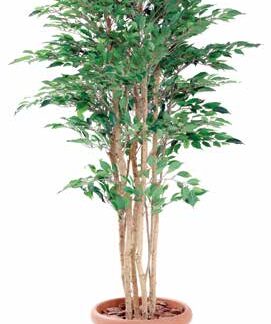 人工樹木 ベンジャミン5本立(鉢付き)