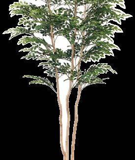 人工樹木 トネリコ