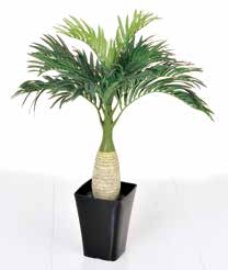 人工樹木 トックリヤシ(鉢付き)