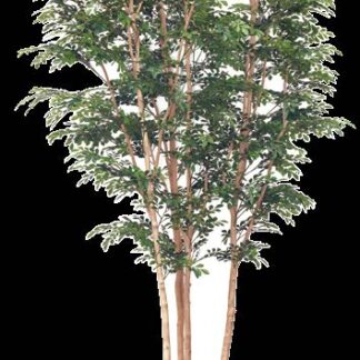 人工樹木 トネリコ 株立