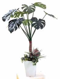 人工樹木　スプリットフィロ 寄せ植え