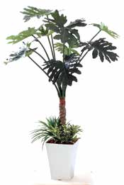 人工樹木　セロームフィロ 寄せ植え