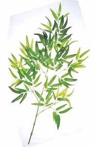 人工葉材　孟宗竹スプレイ