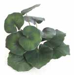 人工葉材 イワカガミ