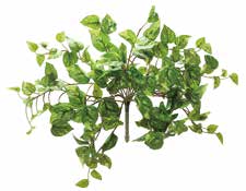 人工葉材　ポトスブッシュ （リアルタッチ）