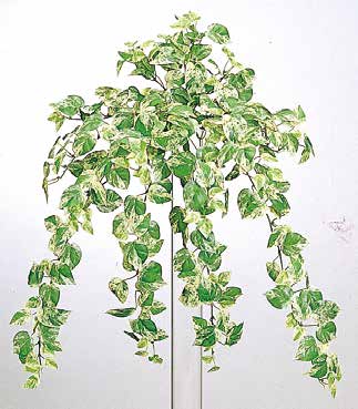 人工葉材　ミニポトス