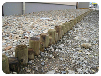 連杭セット(送料無料)