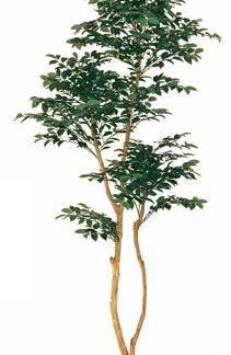 人工樹木　サザンカ