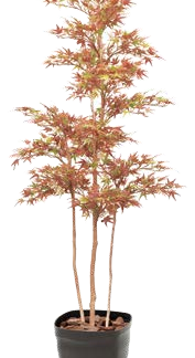 人工樹木　モミジ3本立