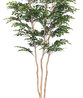 人工樹木　トネリコ