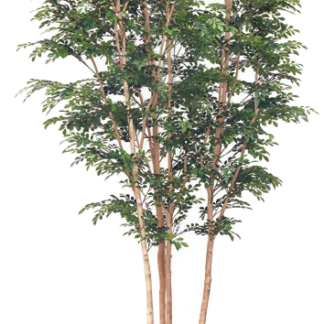 人工樹木　トネリコ 株立